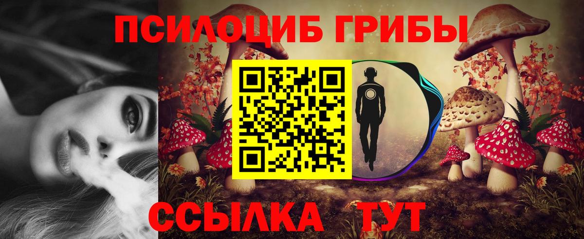 Псилоцибиновые грибы мицелий  Вход с VPN  Саранск  Галлюциногенные грибы MAGIC MUSHROOMS 